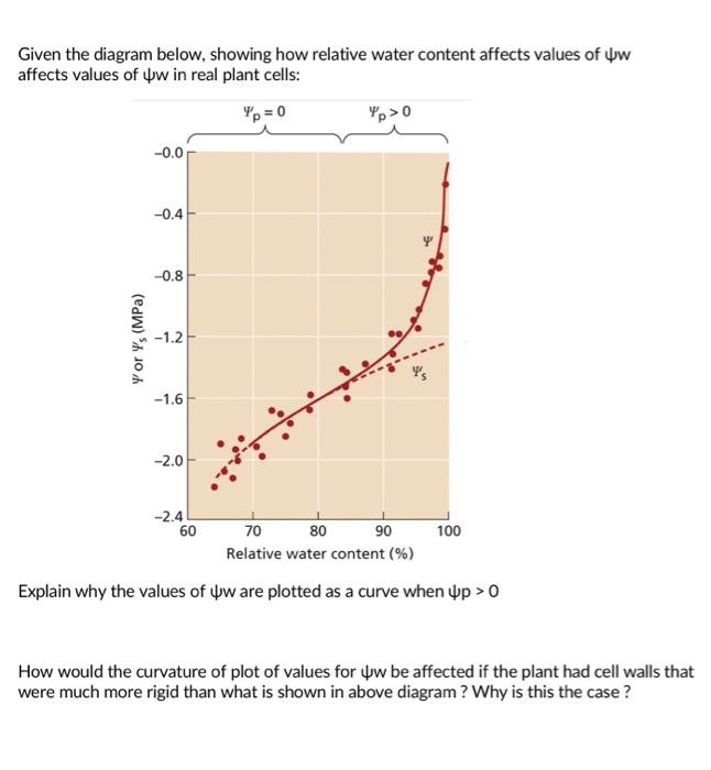 Solved Given The Diagram Below Showing How Relative Water Chegg