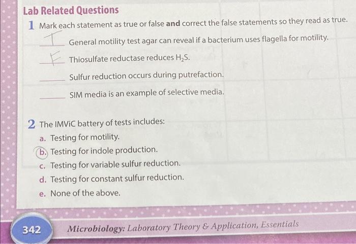 Solved Lab Related Questions Mark Each Statement As True Chegg