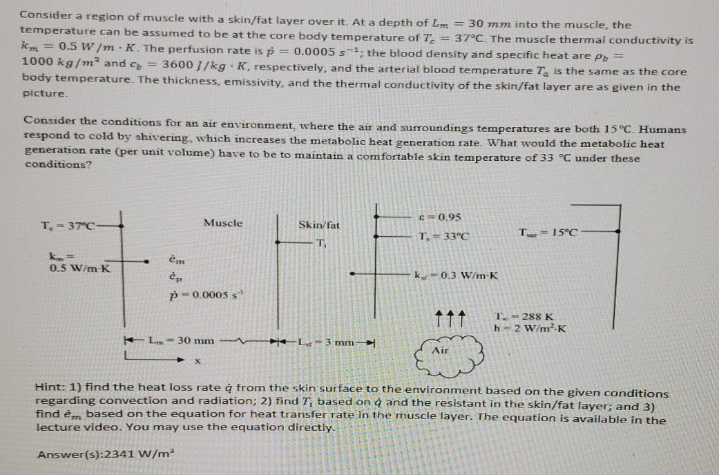 Solved Consider A Region Of Muscle With A Skin Fat Layer Chegg