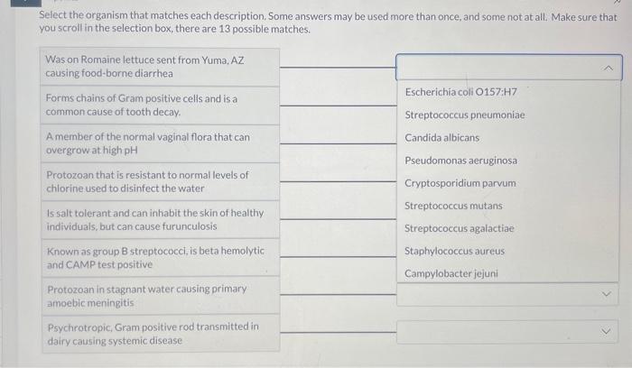 Solved Select The Organism That Matches Each Description Chegg
