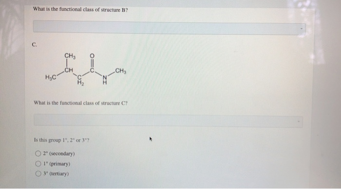 Solved Classify Each Structure According To Its Functional Chegg