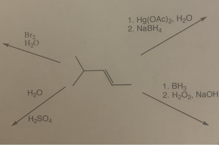 Solved Hg Oac H Nabh Brz H O H O Bh H O Chegg