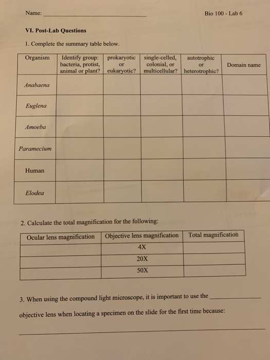 Solved Name Bio Lab Vi Post Lab Questions Chegg