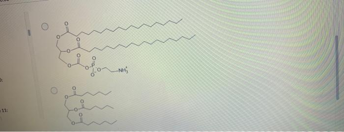 Solved Question Mandatory Points Which Of The Chegg