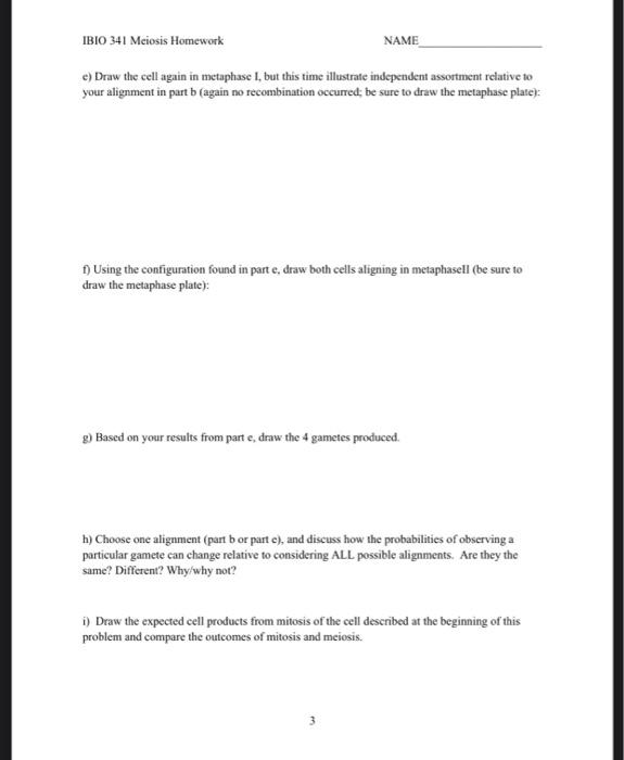 Solved Ibio Meiosis Homework Name Below Shows A Chegg