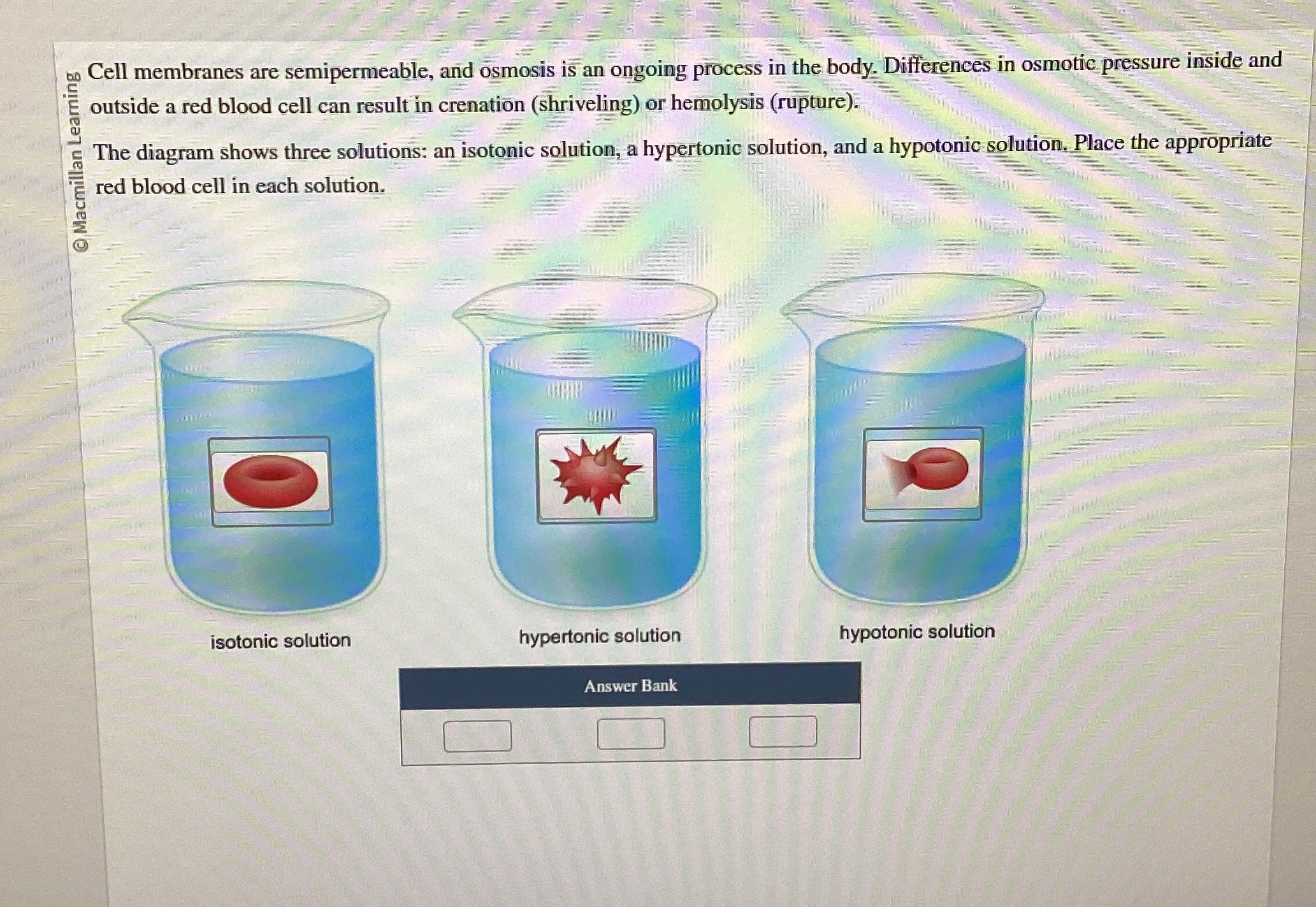 Solved Nell Membranes Are Semipermeable And Osmosis Is An Chegg