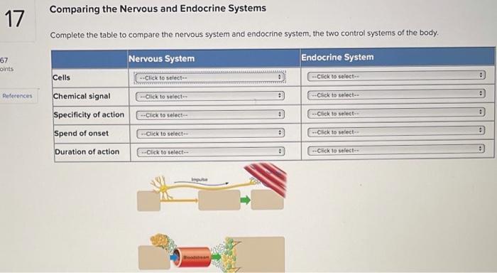 Venn Diagram Comparing Endocrine And Nervous System The Endo