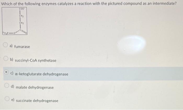 Solved Which Of The Following Enzymes Catalyzes A Reaction Chegg