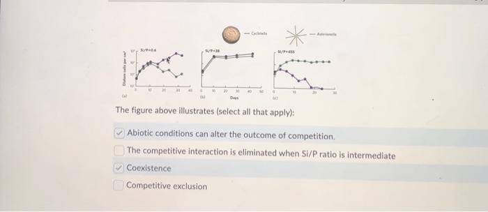 Solved The Figure Above Illustrates Select All That Apply Chegg