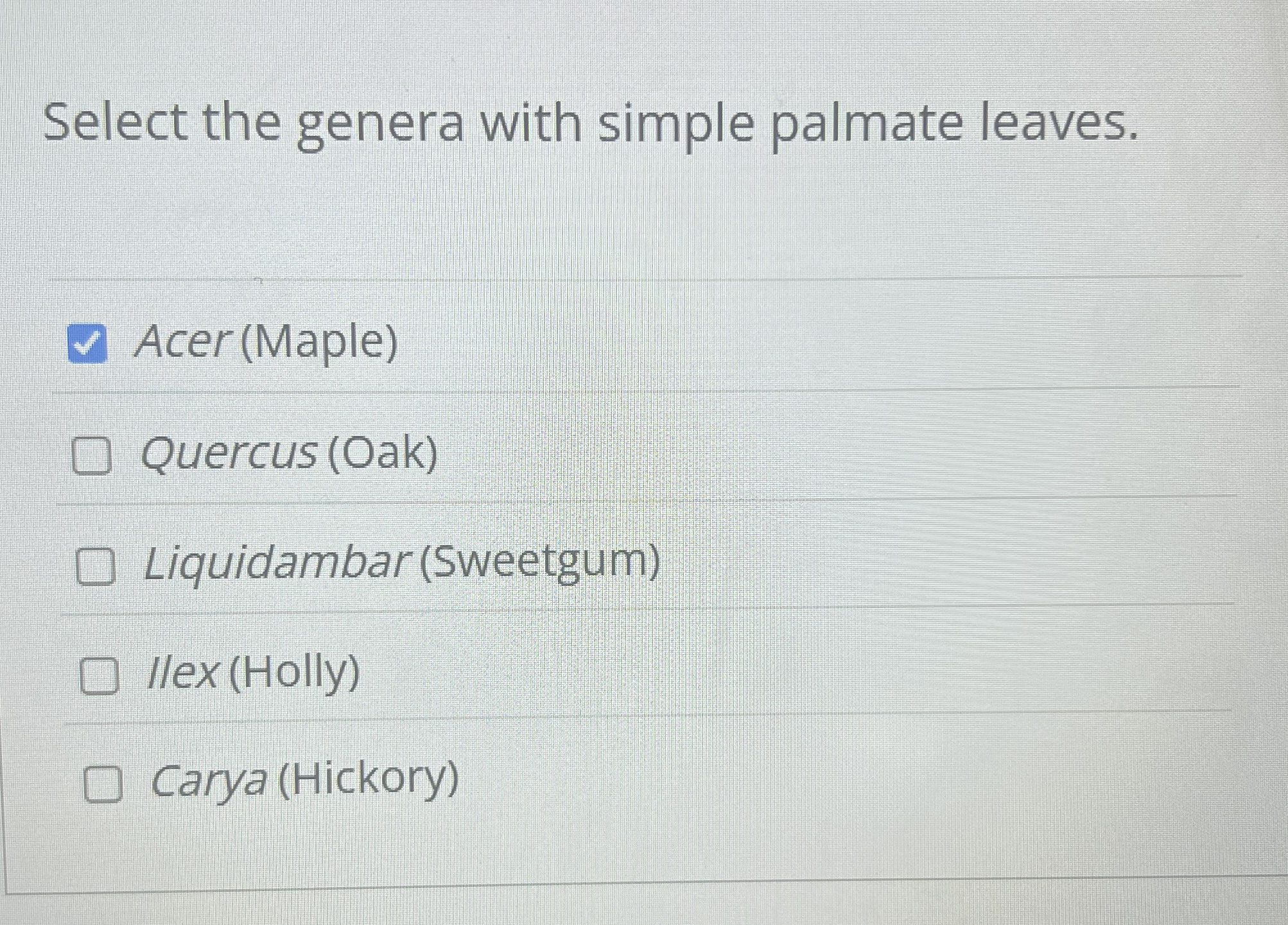 Solved Select The Genera With Simple Palmate Leaves Acer Chegg