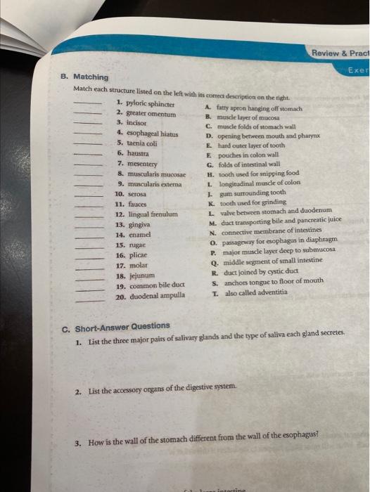 Solved Review Pract Exer B Matching Match Each Structure Chegg