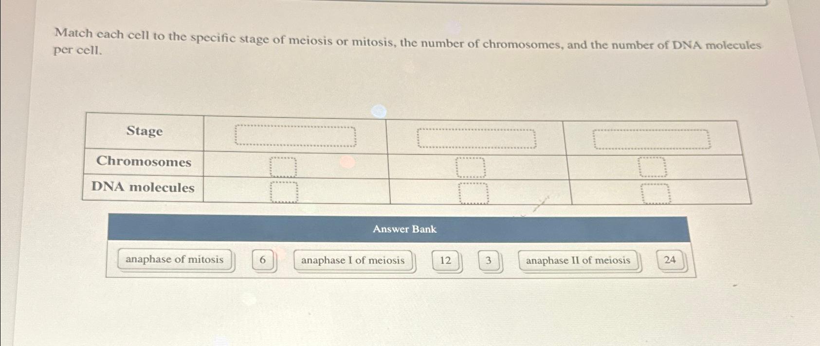 Solved Match Each Cell To The Specific Stage Of Meiosis Or Chegg