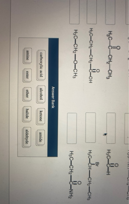 Solved Classify Each Structure According To Its Functional Chegg