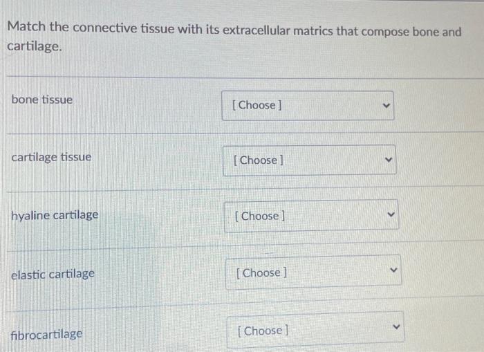 Solved Match The Connective Tissue With Its Extracellular Chegg