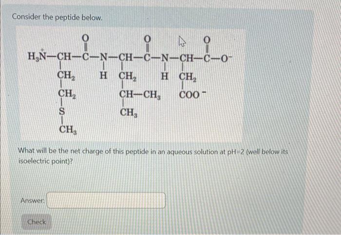 Solved Consider The Peptide Below What Will Be The Net Chegg