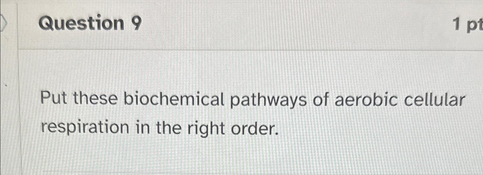 Solved Question Put These Biochemical Pathways Of Aerobic Chegg