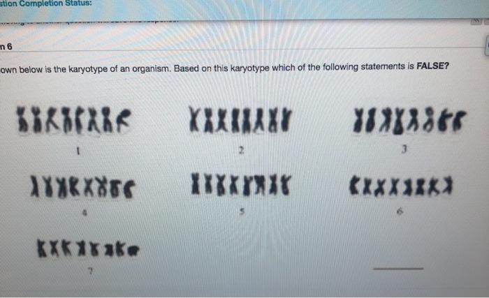 Solved Shown Below Is The Karyotype Of An Organism Based On Chegg