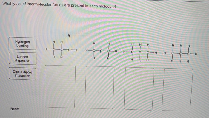 Solved What Types Of Intermolecular Forces Are Present In Chegg