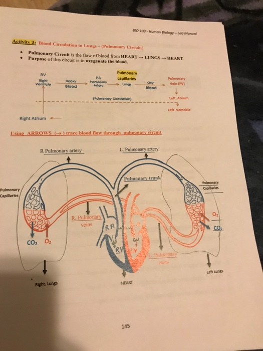 Solved BIO 103 Human Biology Lab Manual Tity Parts Of The Chegg