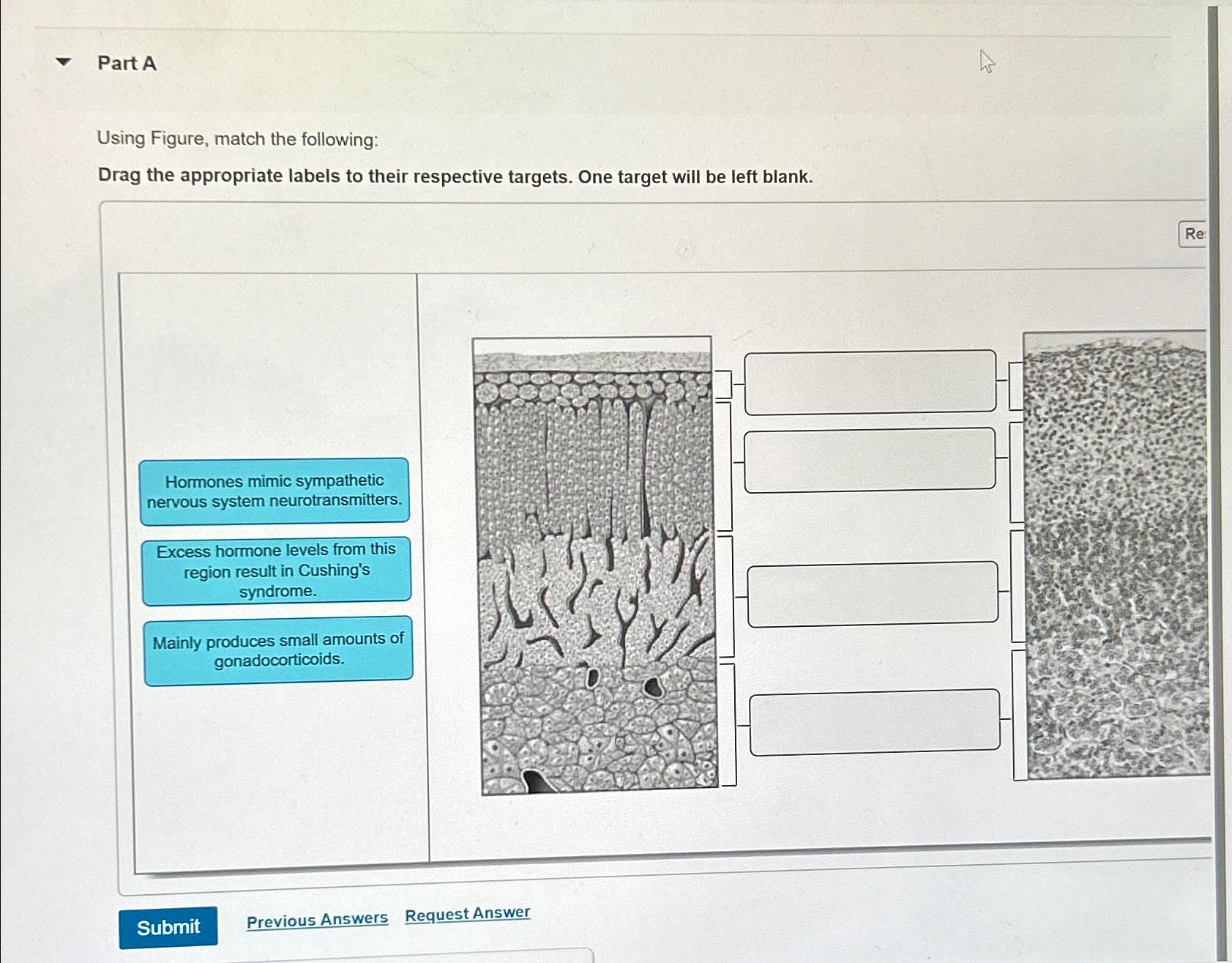 Solved Part Ausing Figure Match The Following Drag The Chegg