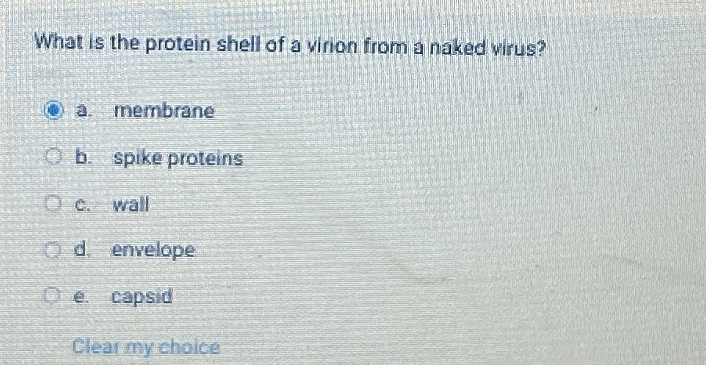 Solved What Is The Protein Shell Of A Virion From A Naked Chegg