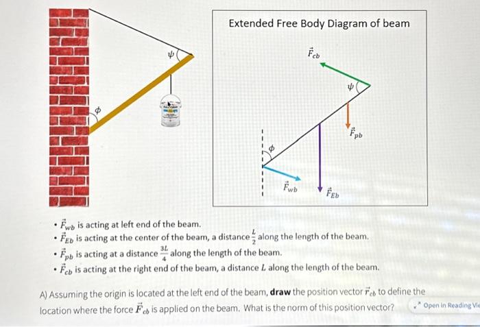 Extended Free Body Diagram Of Beam Fwb Is Acting At Chegg