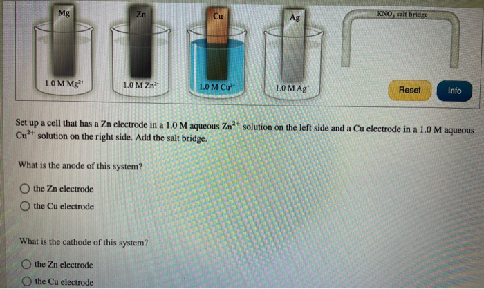 Solved Start With The Setup Shown In The Voltaic Cells Chegg