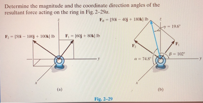 Solved Determine The Magnitude And The Coordinate Direction Chegg