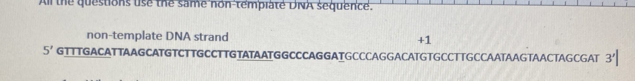 Solved Non Template DNA Chegg