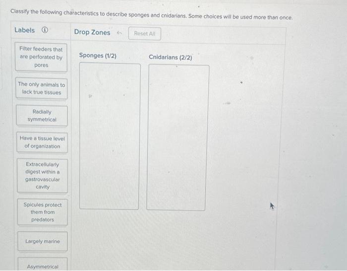 Solved Classify The Following Characteristics To Chegg