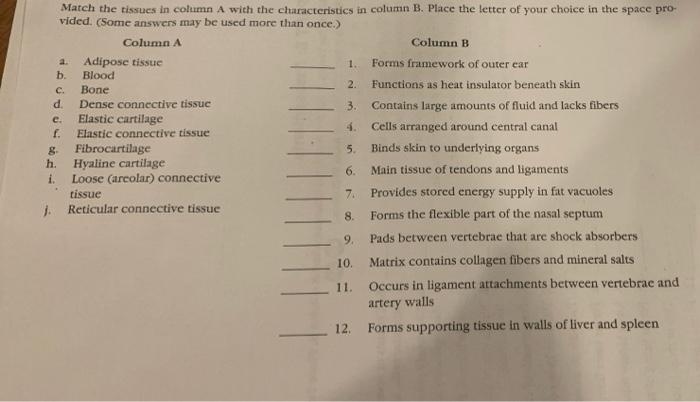 Solved Match The Tissues In Column A With The Chegg