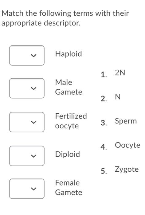 Solved Match The Following Terms With Their Appropriate Chegg