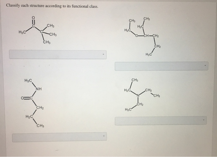 Solved Classify Each Structure According To Its Functional Chegg