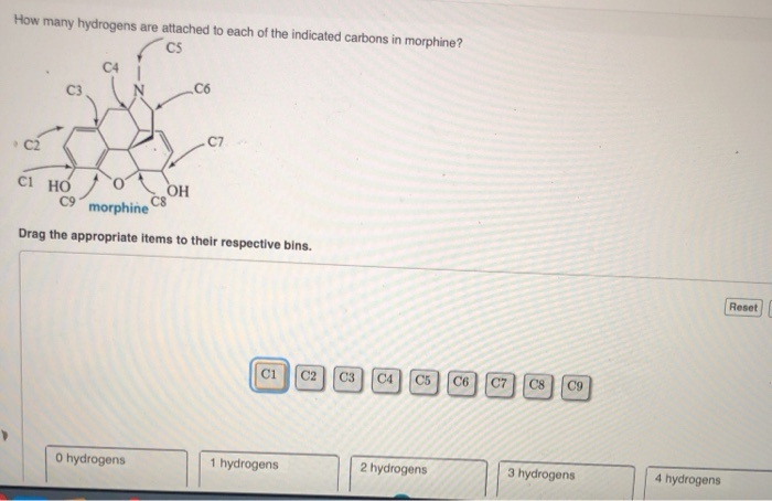 Solved How Many Hydrogens Are Attached To Each Of The Chegg