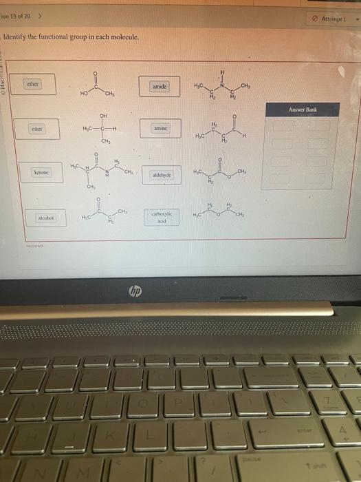 Solved Identify The Functional Group In Each Molecule Chegg