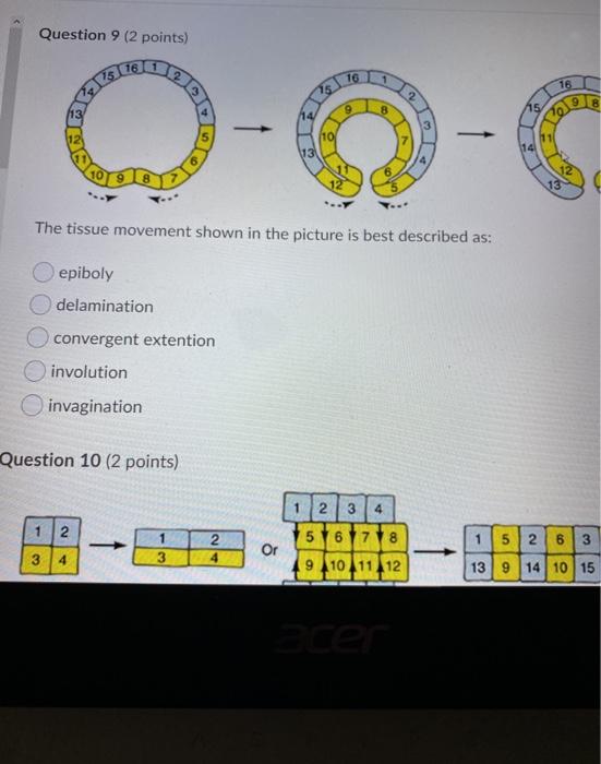 Solved Question Points O The Chegg