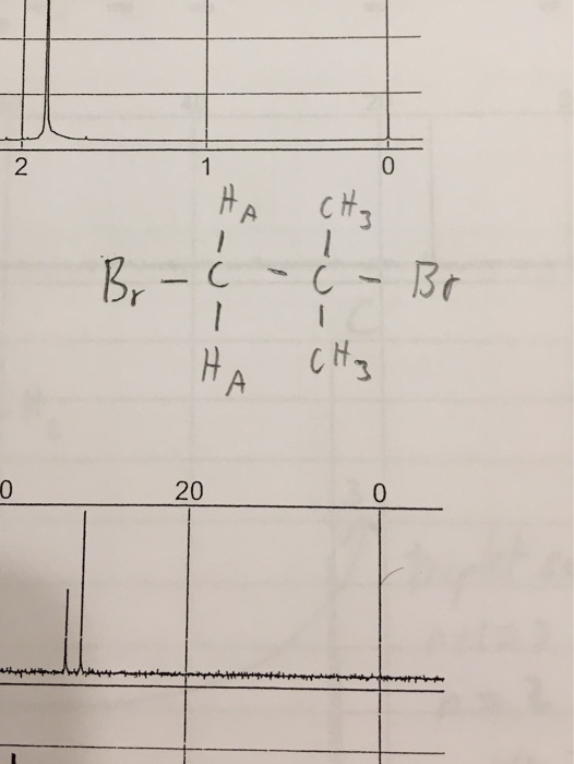 Solved The Answer Key Says Dibromo Methylpropane I Chegg