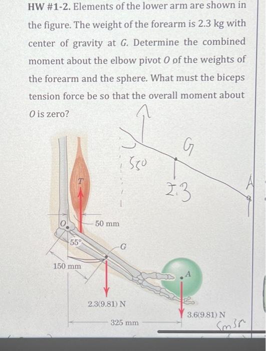 Solved I Under Stand How To Solve This But I Am Confused Chegg