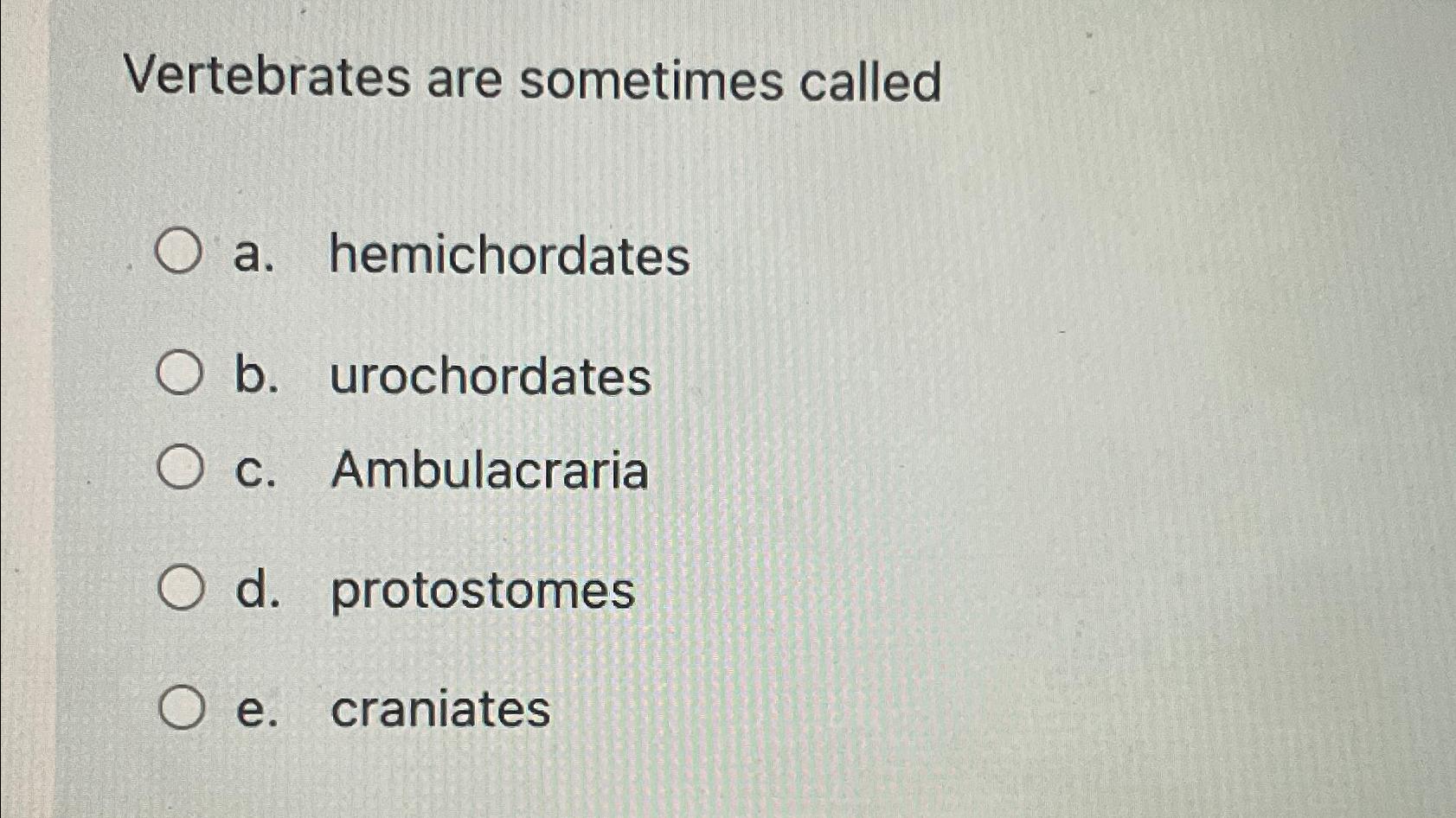 Solved Vertebrates Are Sometimes Calleda Hemichordatesb Chegg