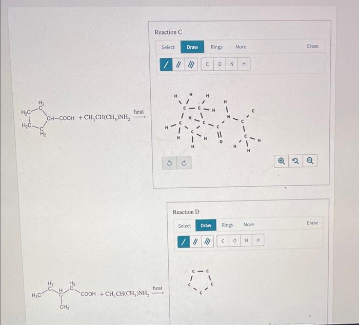 Solved Draw The Amide Formed When Isopropylamine Chegg