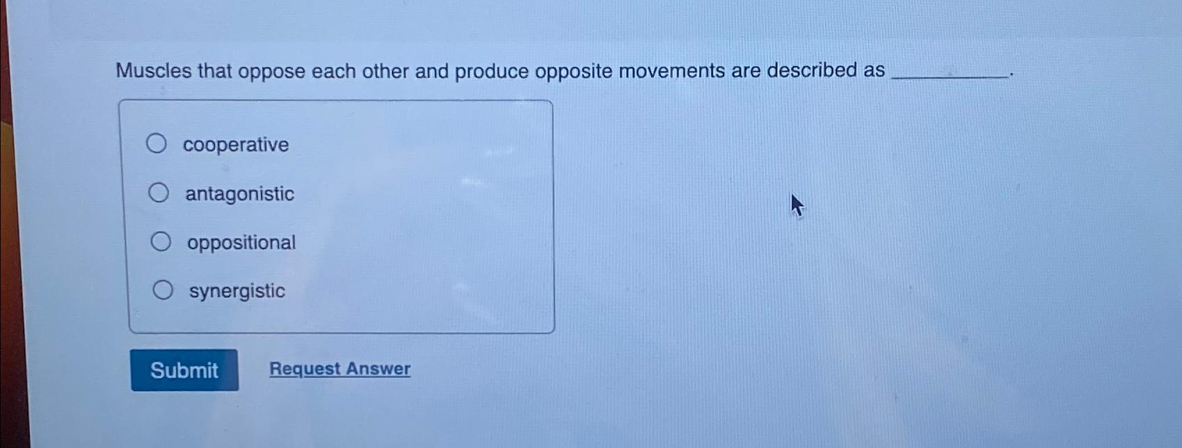 Solved Muscles That Oppose Each Other And Produce Opposite Chegg