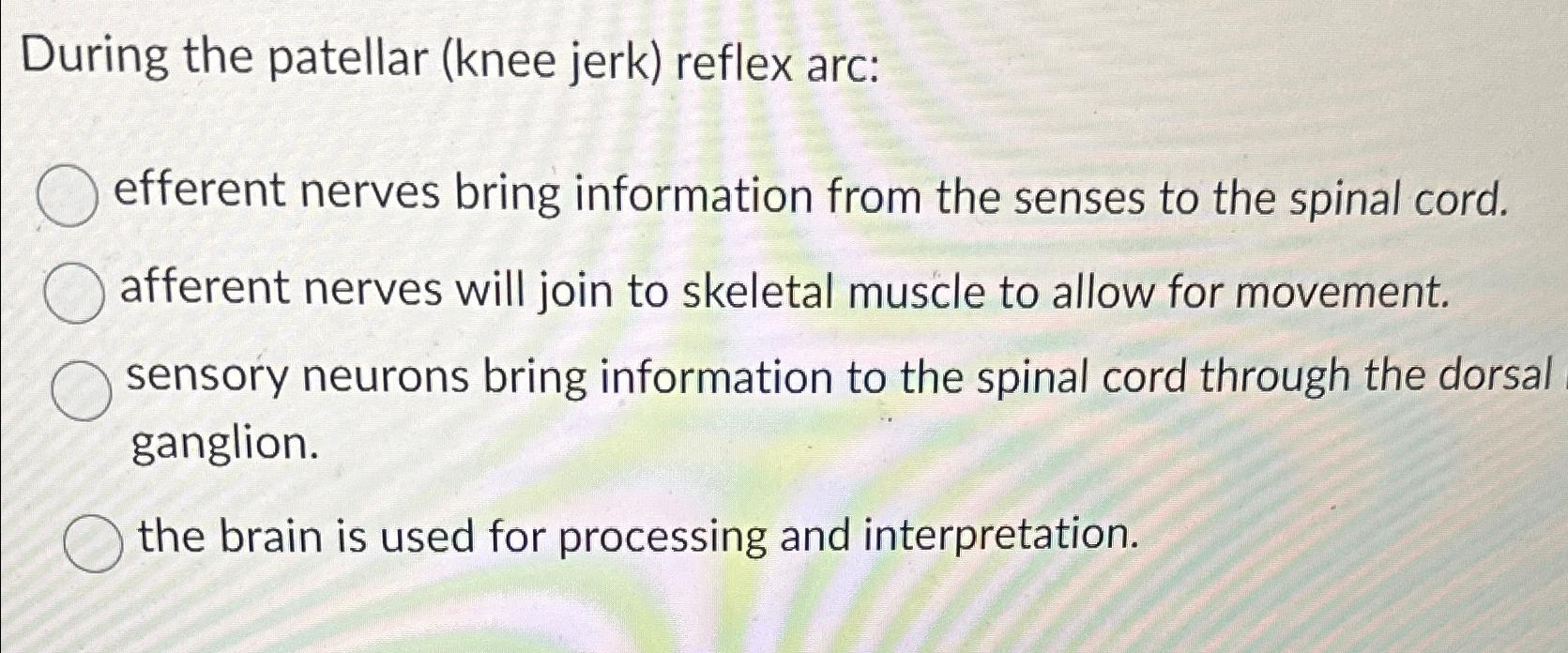 Solved During The Patellar Knee Jerk Reflex Arc Efferent Chegg