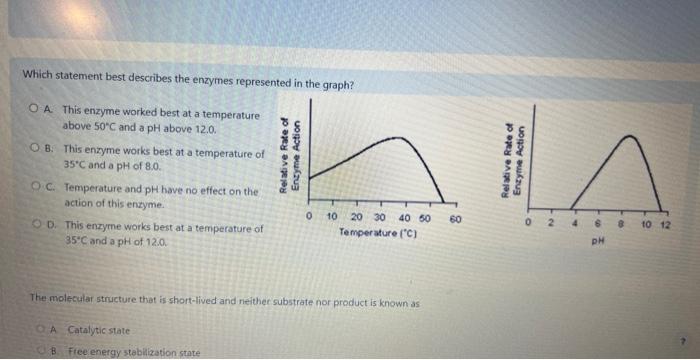 Solved Which Statement Best Describes The Enzymes Chegg