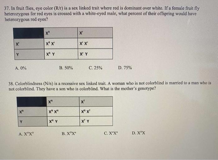 Solved 37 In Fruit Flies Eye Color R R Is A Sex Linked Chegg