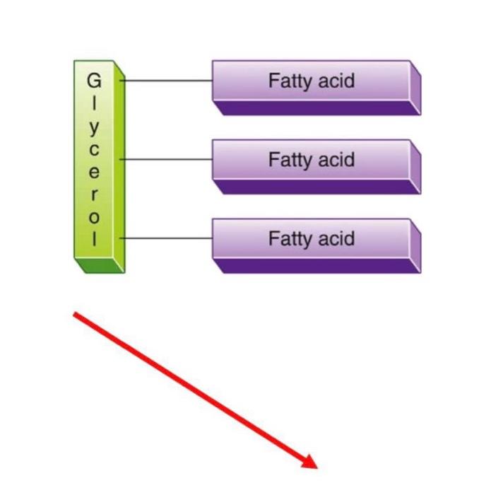 Solved Biochemistry Chegg