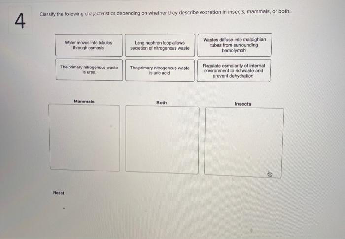 Solved Classify The Following Characteristics Depending On Chegg