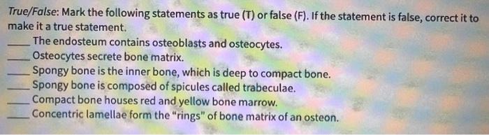 Solved True False Mark The Following Statements As True T Chegg