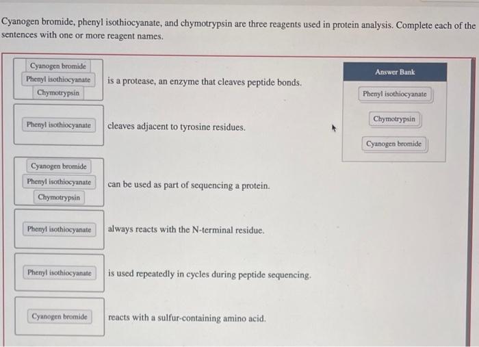 Solved Cyanogen Bromide Phenyl Isothiocyanate And Chegg