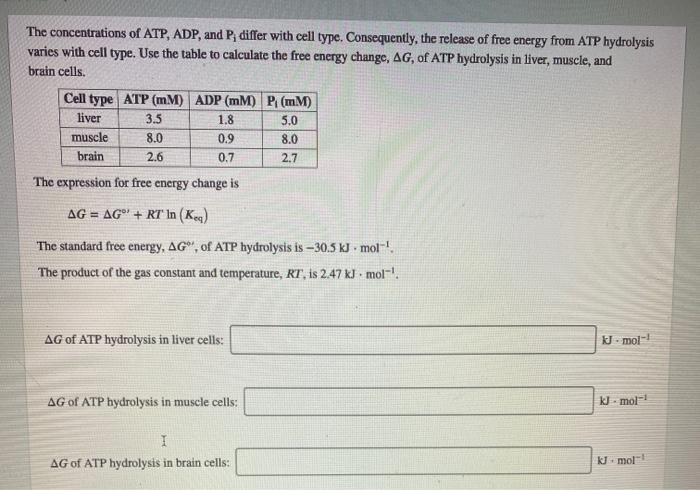 Solved The Concentrations Of ATP ADP And P Differ With Chegg