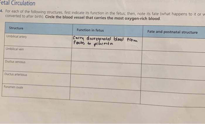 Solved Fetal Circulation 14 For Each Of The Following Chegg